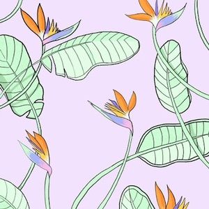 Meet your Posher, Maia